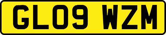 GL09WZM