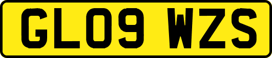 GL09WZS