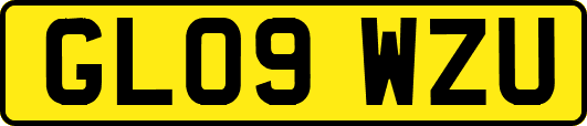 GL09WZU