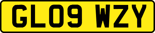 GL09WZY