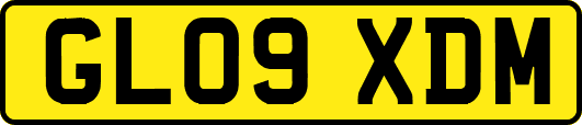 GL09XDM