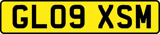 GL09XSM
