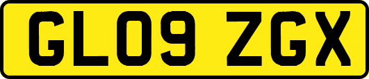 GL09ZGX