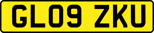 GL09ZKU