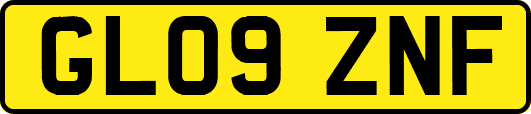 GL09ZNF