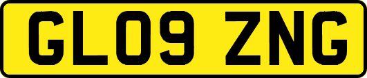 GL09ZNG