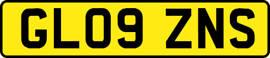 GL09ZNS