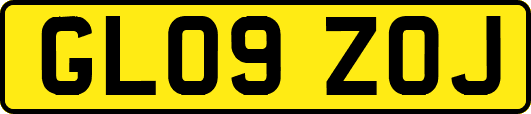 GL09ZOJ