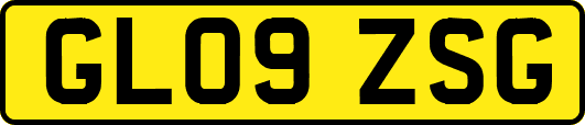 GL09ZSG