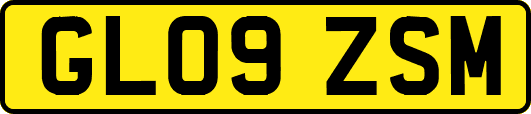 GL09ZSM