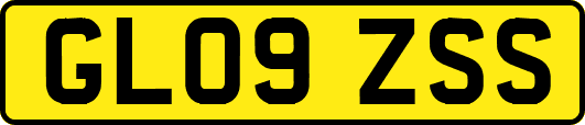 GL09ZSS