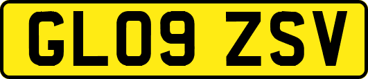 GL09ZSV
