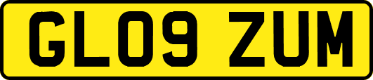 GL09ZUM