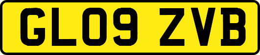 GL09ZVB