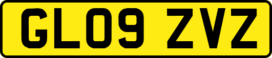 GL09ZVZ
