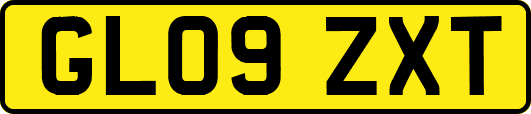 GL09ZXT