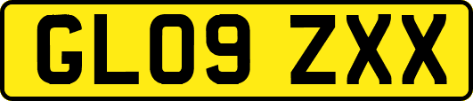 GL09ZXX