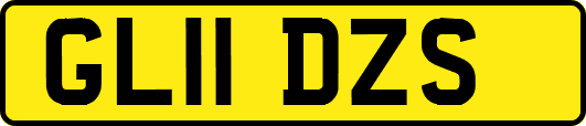 GL11DZS