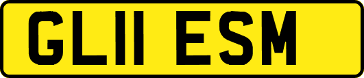 GL11ESM