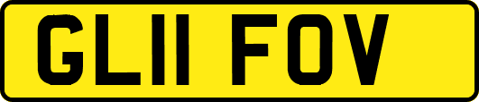 GL11FOV