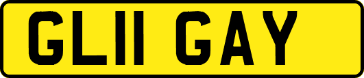 GL11GAY