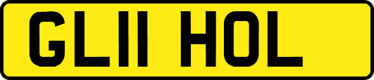 GL11HOL