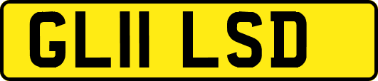 GL11LSD