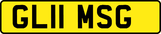 GL11MSG