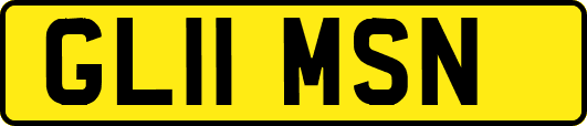 GL11MSN