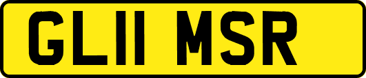 GL11MSR