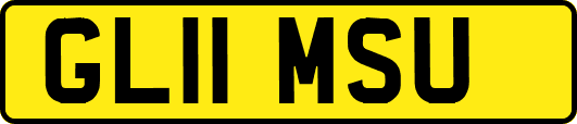 GL11MSU