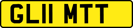 GL11MTT