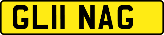 GL11NAG