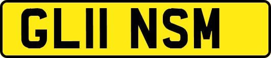 GL11NSM