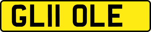 GL11OLE
