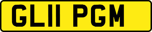 GL11PGM