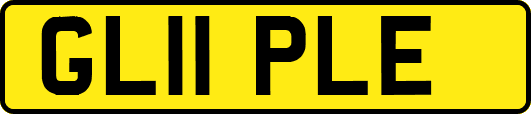 GL11PLE
