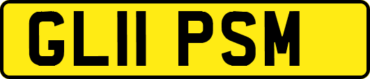 GL11PSM