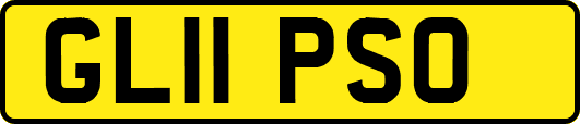 GL11PSO