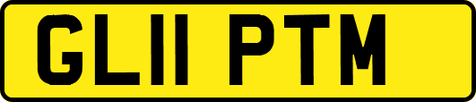 GL11PTM