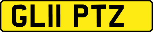 GL11PTZ