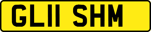 GL11SHM