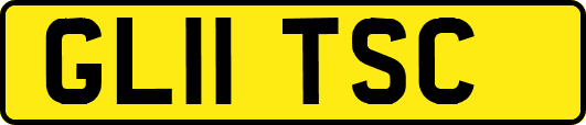 GL11TSC