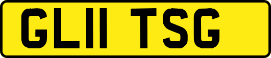 GL11TSG