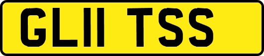 GL11TSS