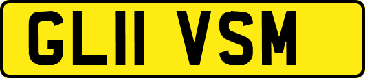 GL11VSM