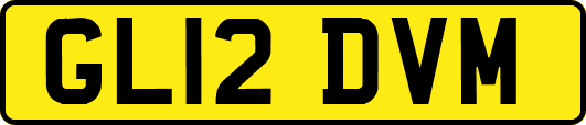 GL12DVM