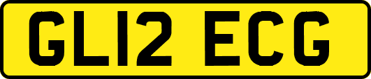 GL12ECG