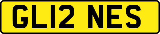 GL12NES