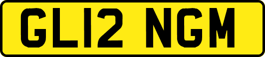 GL12NGM